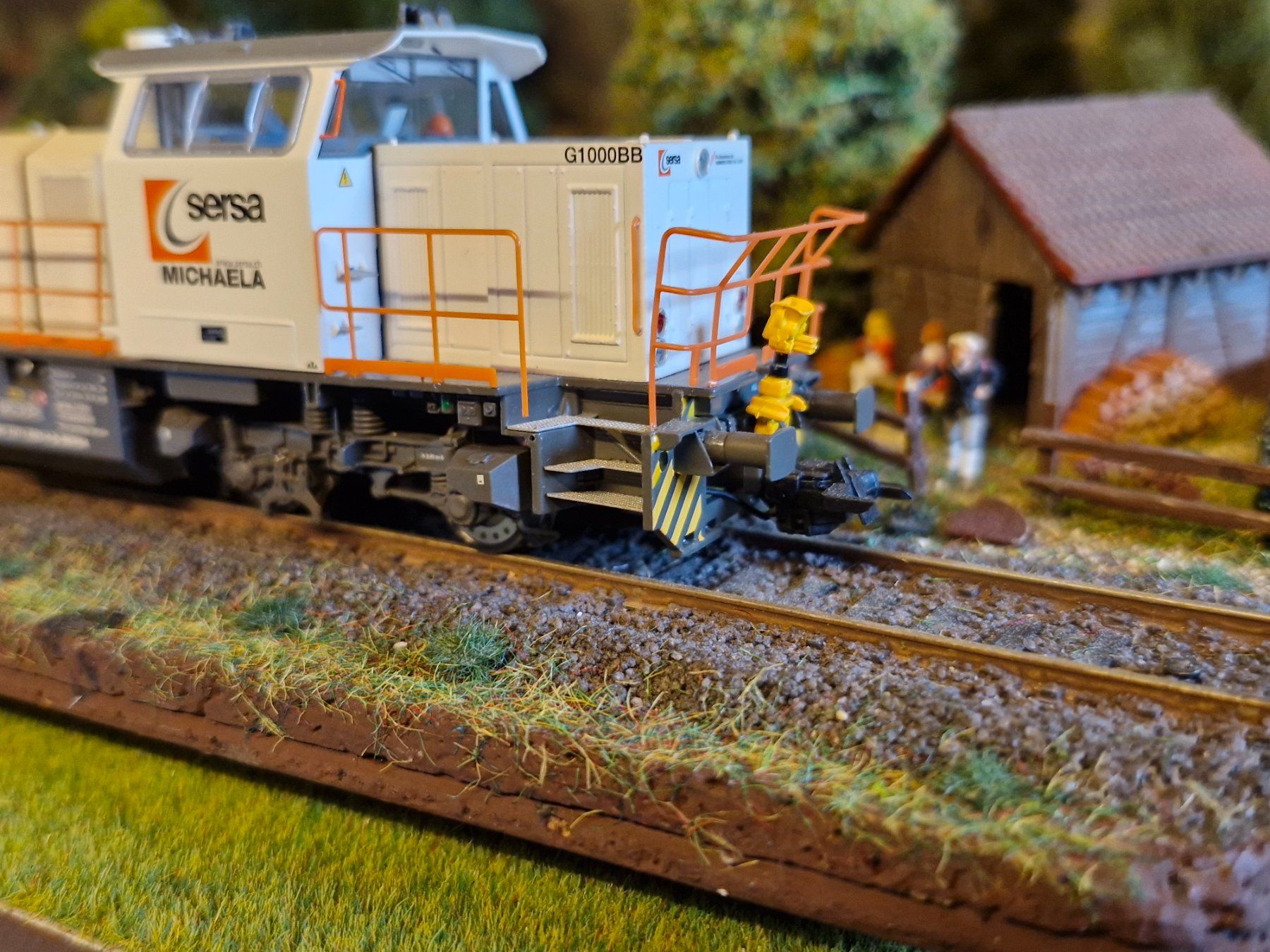 Esu Modellini di ferrovie: Sersa G1000BB der Fa.ESU – Usato da Stans venduto da marlene330 2