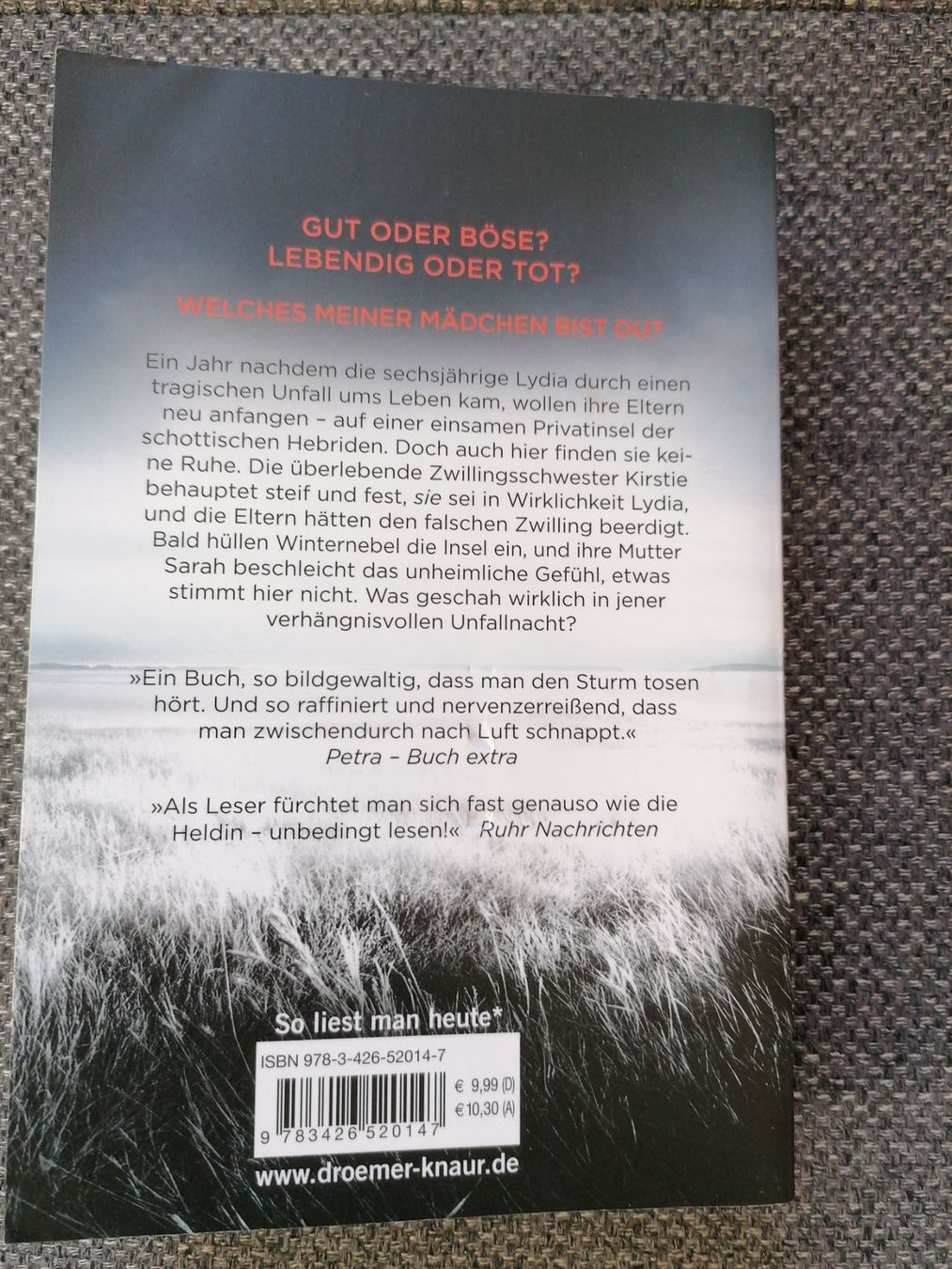 Livres: Buch Eisige Schwester von S. K. Tremayne – D'occasion à Büttikon AG par Amineah 1