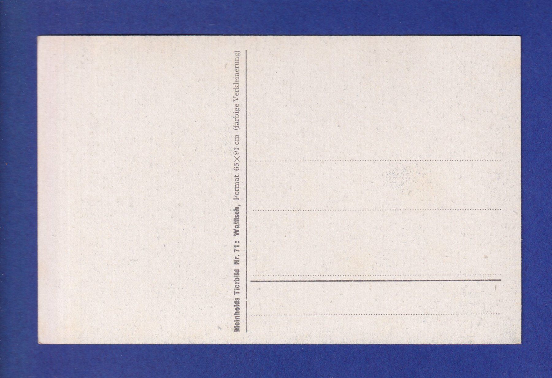 Cartes postales: BALEINE – D'occasion à Pully par nicecards-shop 1