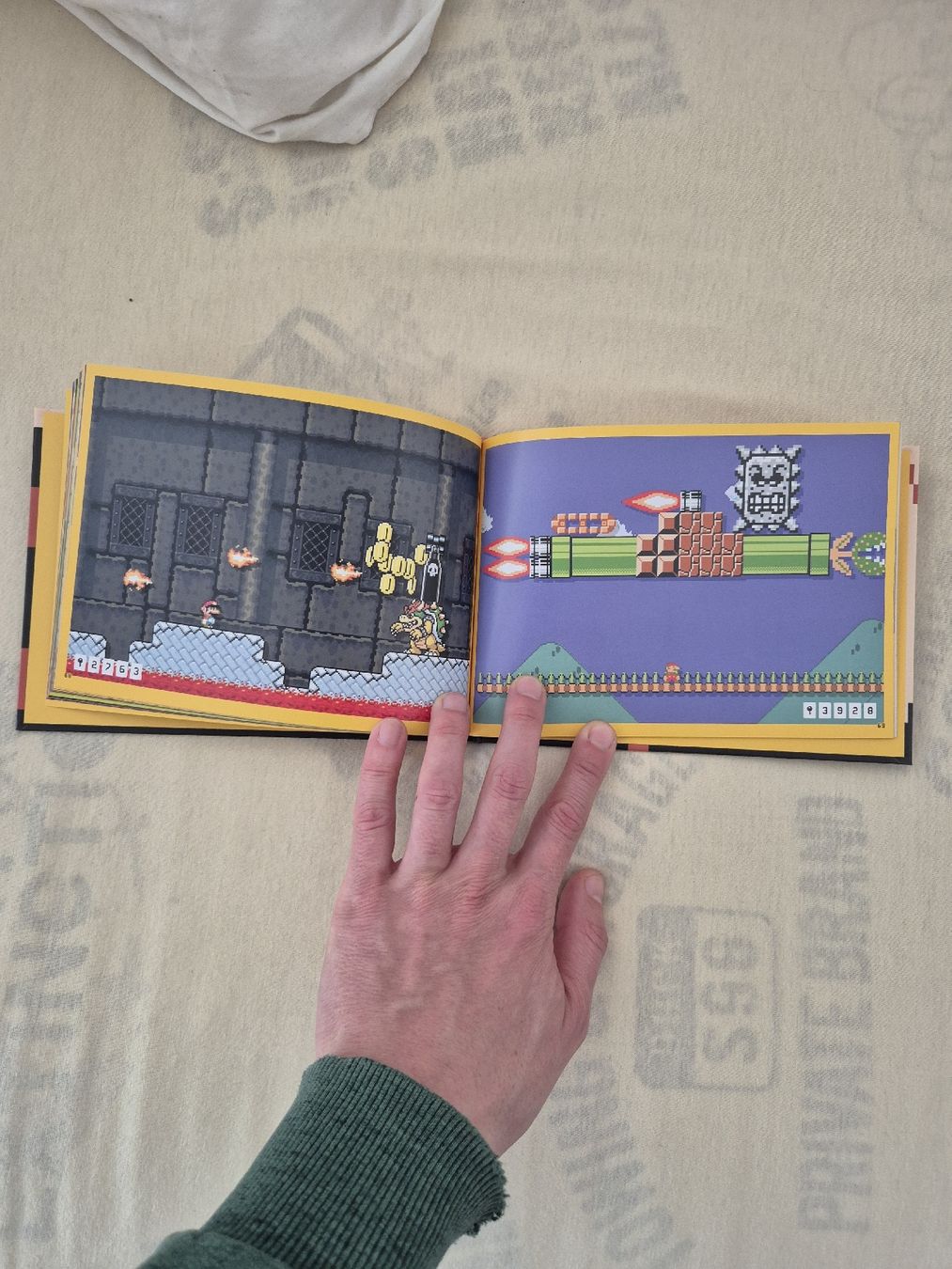 Libri: Super Mario Maker, Buch – Nuovo (secondo la descrizione) da Zürich venduto da alessa88 2