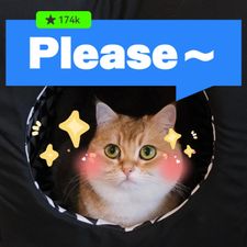 Profile image of Let-me-win-please