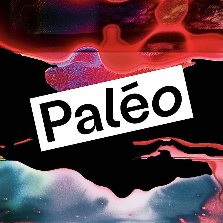 Biglietti: Billet paléo dimanche – Usato da Perroy venduto da Tatian_A