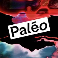 Billet paléo dimanche