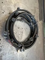 Molon Bandheuer Zinkenband