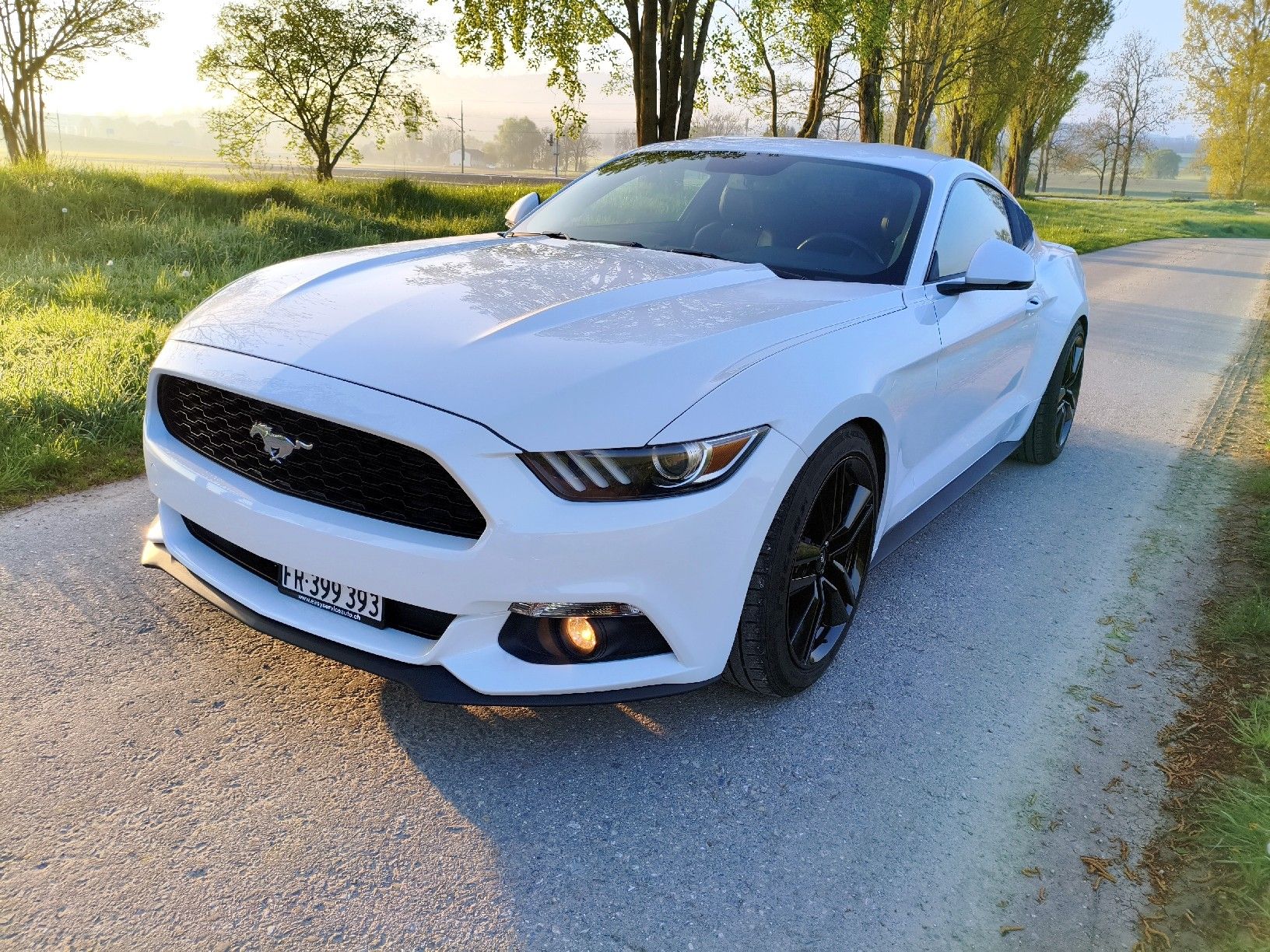 Ford Automobili: Ford Mustang Fastback – Usato da Dompierre FR venduto da F.Blanco