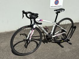 Specialized Dolce Comp 48 (2016) – Shimano 105 – Top Zustand