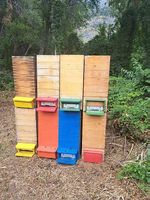 Imkerartikel,Imkerei, Wabenschrank Bienenkasten, Bienenstock