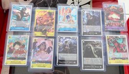 10x One Piece Karten