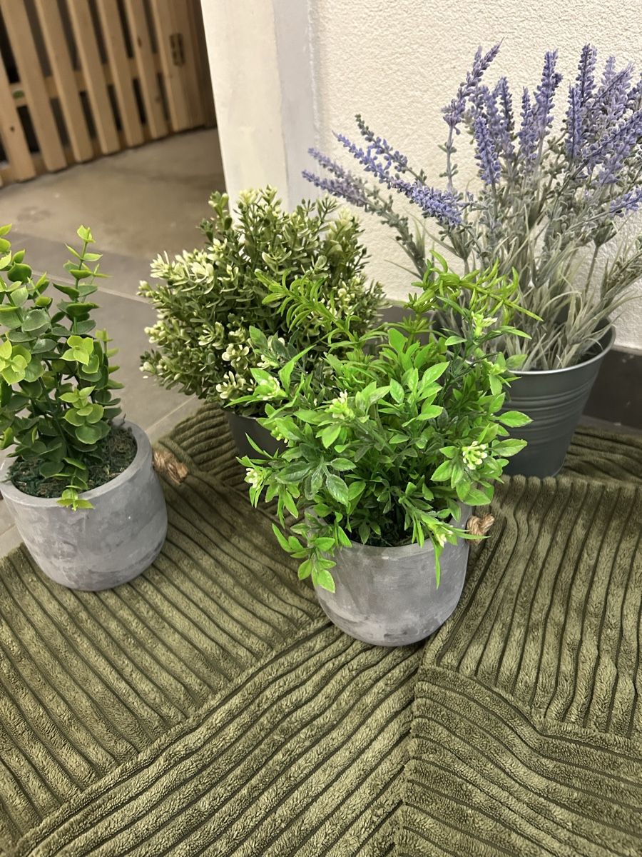 Alle Dekorationen: Deko plantes – Neu (gemäss Beschreibung) aus Perroy von MR6. 2