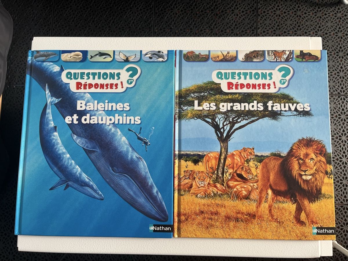 Fumetti: Livres BD éducatives et imagerie super héros – Usato da Morges venduto da par_f5md