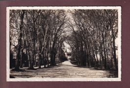 COLOMBIER - Les Allées - 1943