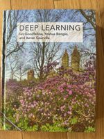 Fachbuch Deep Learning von Goodfellow Bengio Courville