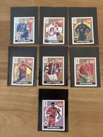 Extra Stickers 1 silber 5 Bronze 1 Normaler