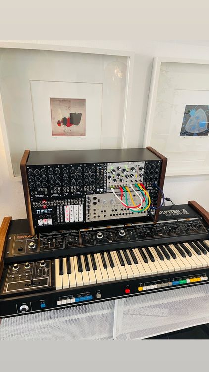Roland System 100m Case / ChiliCases Swiss Eurorack Case (Gebraucht) in ...