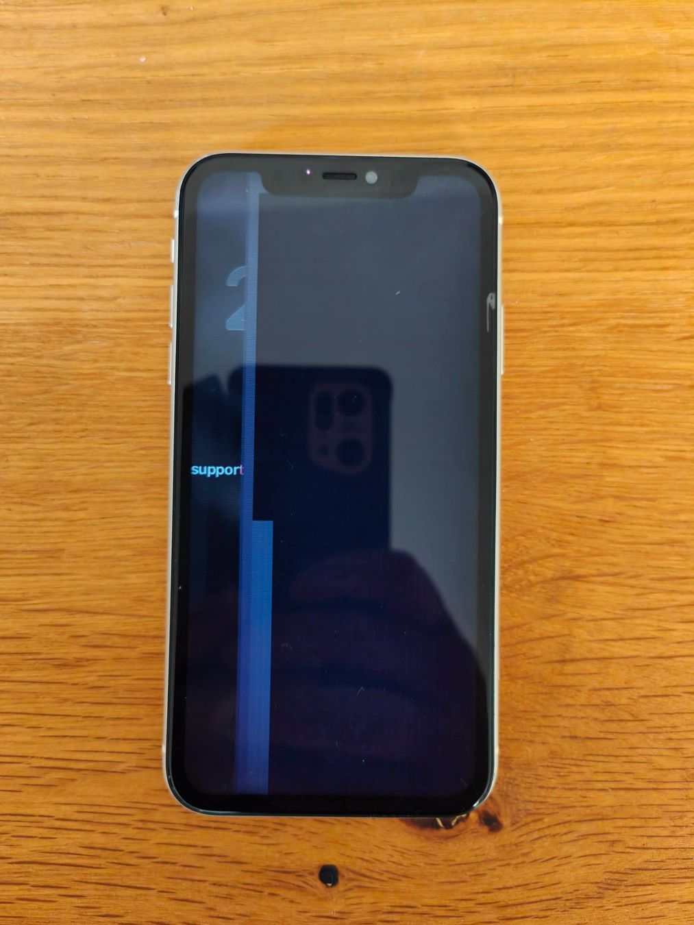 Apple Handys / Smartphones: iPhone 11 (Display defekt) – Gebraucht aus Bern von Chgeek