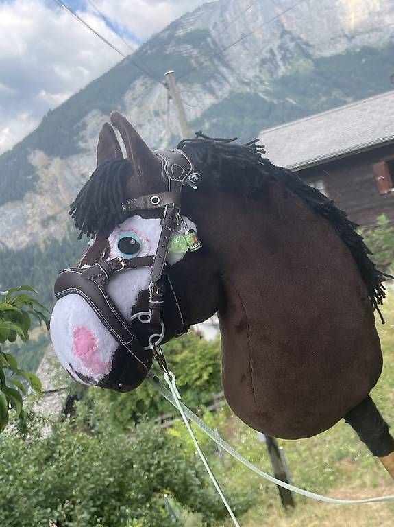 Spielzeuge: Hobby Horse HOCHWERTIG – Gebraucht aus Susten von Kht_formidable 4