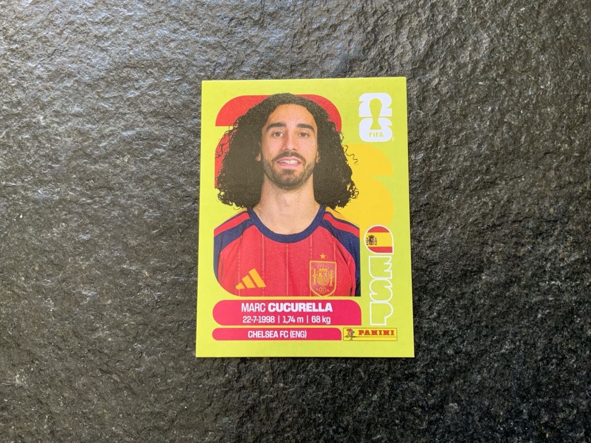 Panini Carte collezionabili: Panini Bild ESP 8 – Usato da Widnau venduto da Como2006