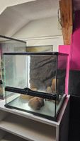 Exo Terra Glas Terrarium