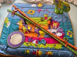 Tiny Love Gymini Kick & Play Krabbeldecke