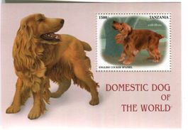 Block "English Cocker Spaniel". Tansania