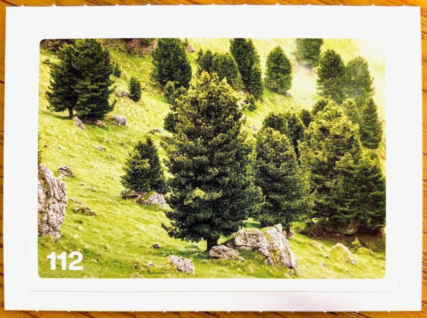 Migros Carte collezionabili: Migros Nature Detectives - Bild Nr. 112 – Nuovo (secondo la descrizione) da Oberrieden venduto da Zimmerberg10