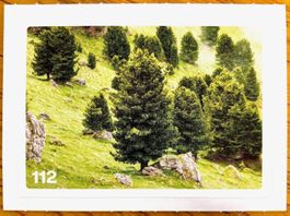 Migros Nature Detectives - Bild Nr. 112