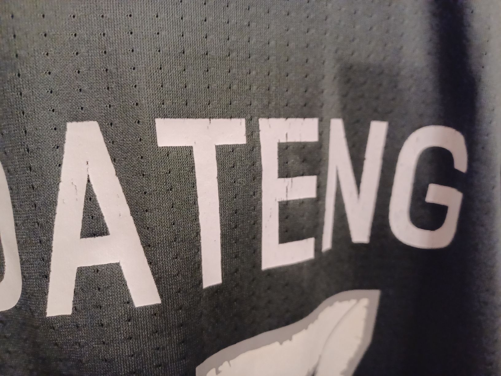 DFB Maillots de corps & Pantalons: DFB Trikot Boateng – D'occasion à St.Gallen par Sangalliesi 2