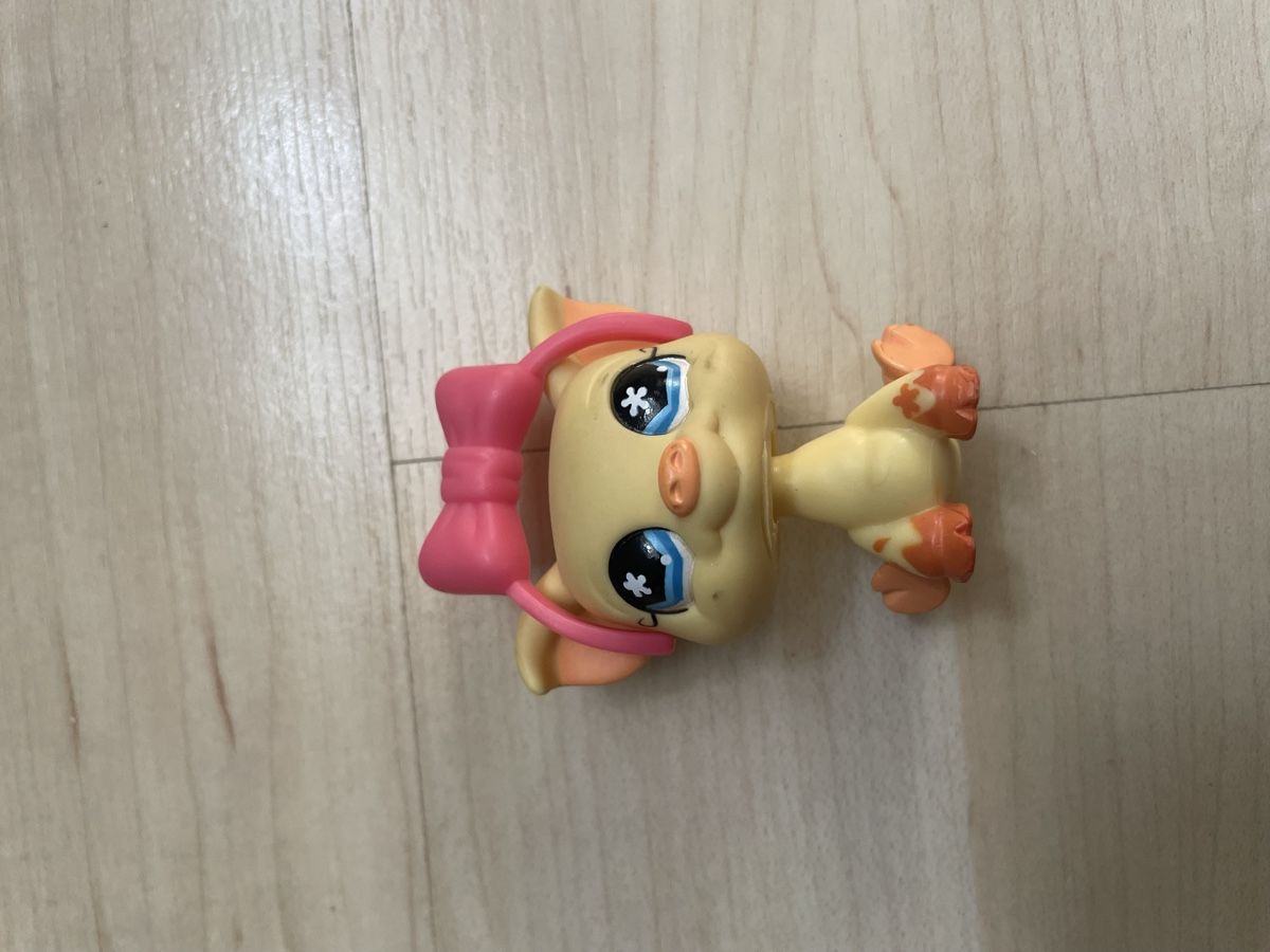 Littlest Pet Shop Giocattoli: Littlest Pet Shop Zoo – Usato da Fribourg venduto da tinavon 8