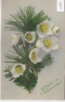 Fröhliche Weihnachten - Tannenzweig mit Blumen