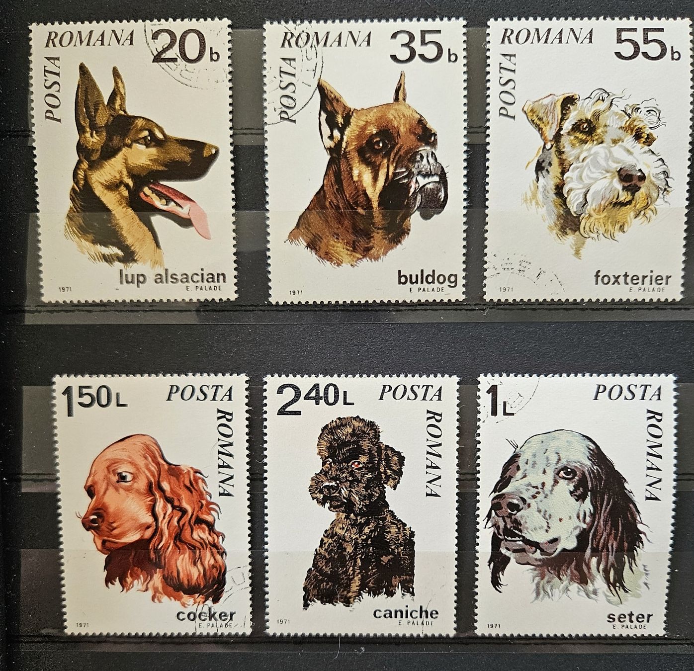Tutti i francobolli: Briefmarken Hunde-Set Rumänien 6 Stück – Usato da Heimenschwand venduto da chr_p2jp