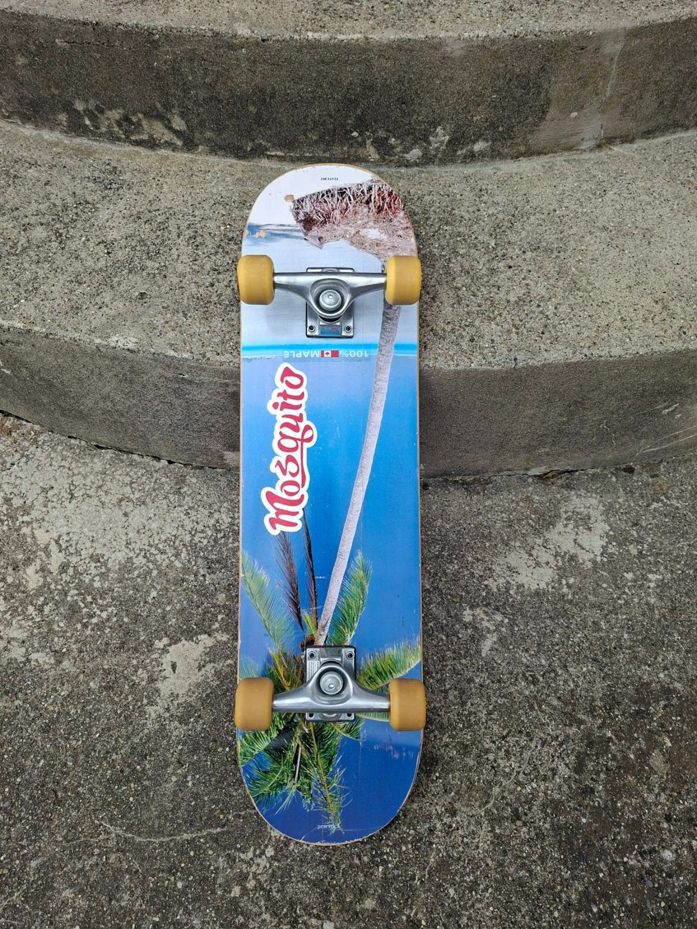 Skateboards: Skateboard – Usato da Lohn SH venduto da Zwierbel 1
