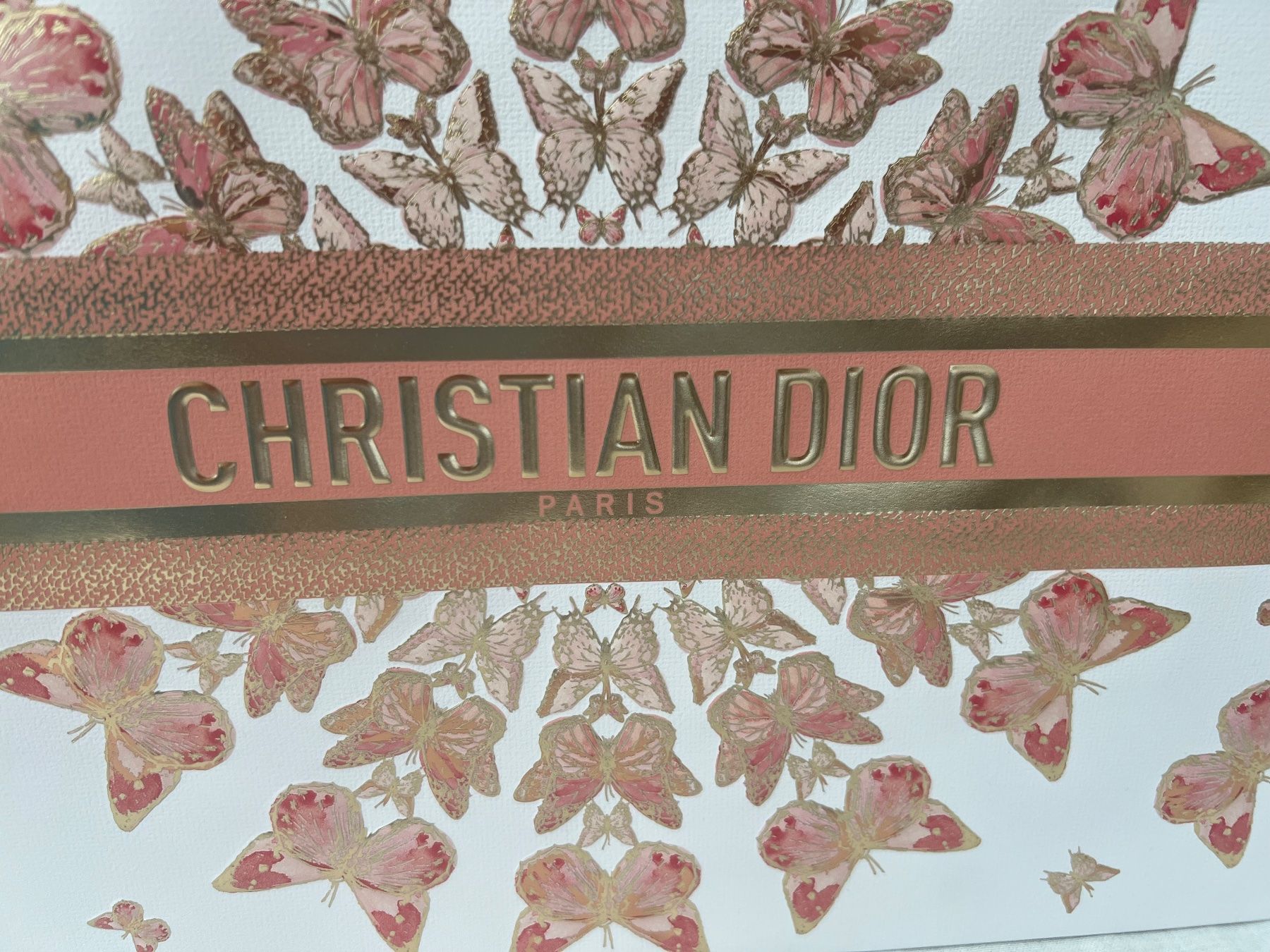 Dior Sacs: Christian Dior Papiertasche – Neuf (Voir description) à Inwil par 27sonnenschein 1