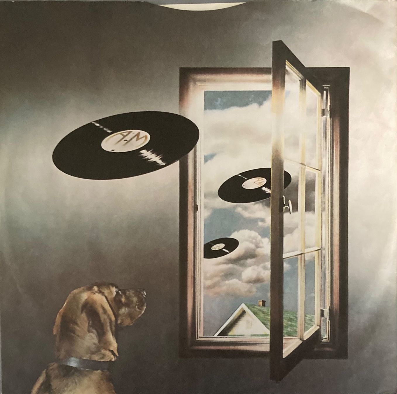 Vinyles: PETER FRAMPTON - FRAMPTON COMES ALIVE! – D'occasion à Poliez-Pittet par Newtown-Records 2
