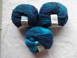 * ONline Linie 359 Fano *