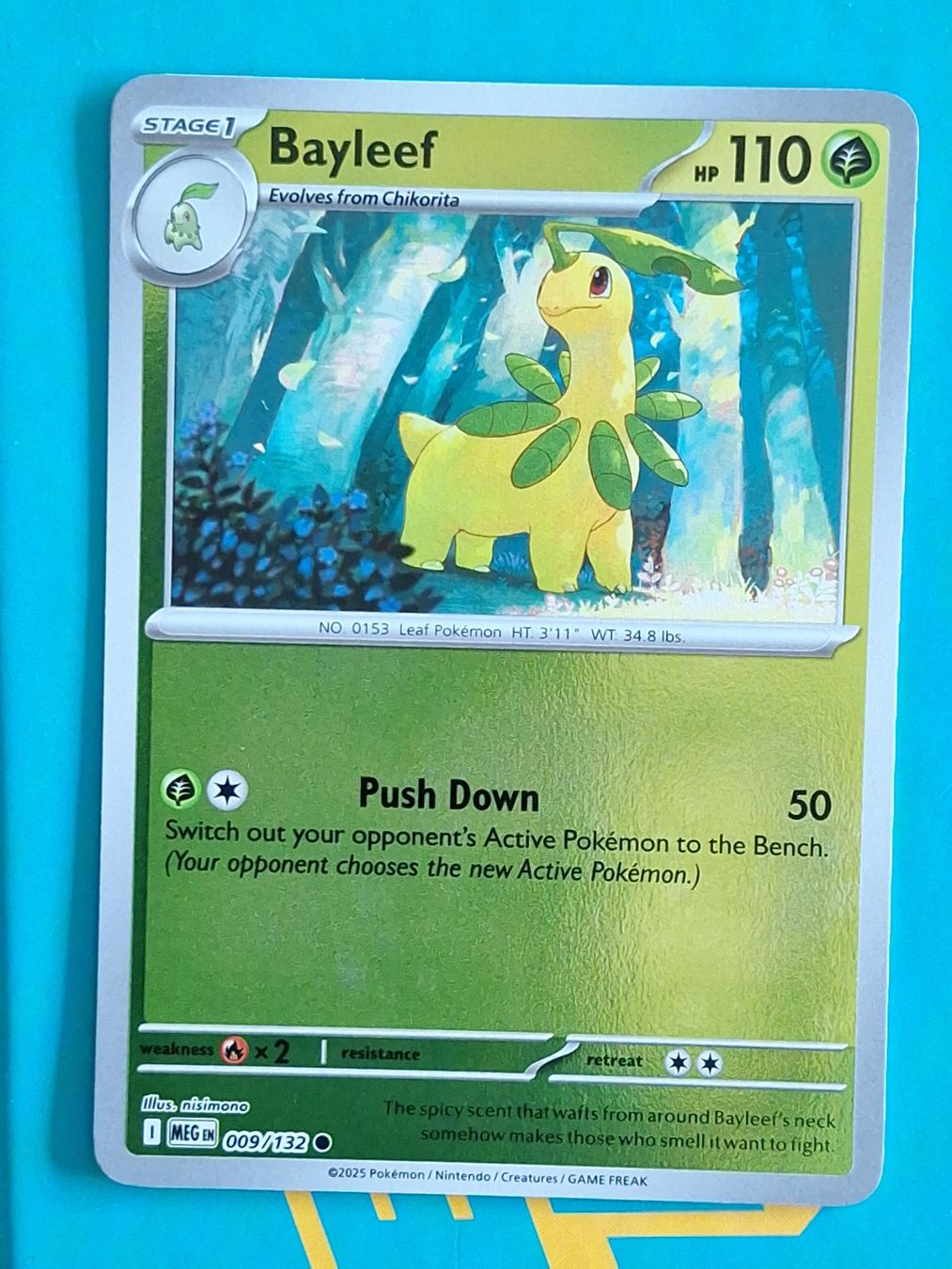 Pokémon Carte collezionabili: Bayleef - Reverse Holo Pokemon Mega Evolution #1.8 – Usato da Altstätten SG venduto da GGsGameshop