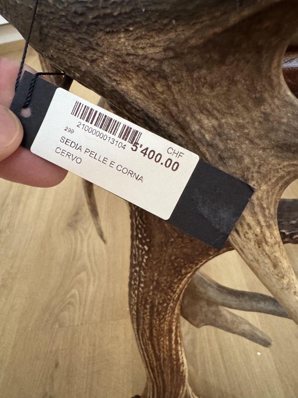 Sedie: Sedia con pale di daino e corna di cervo – Usato da Porza venduto da GioCa65 6