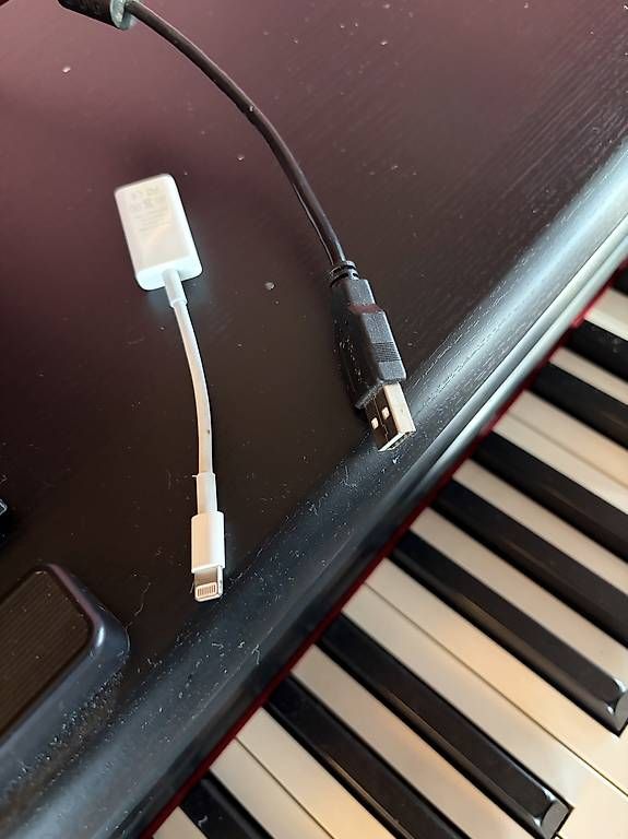 Yamaha Strumenti musicali: Yamaha Digitalpiano mit Pianobank – Usato da Luzern venduto da Tinug 4