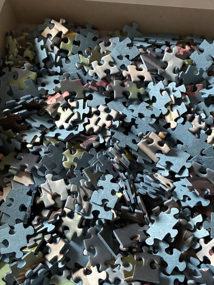Ravensburger Puzzle: Ravensburger Puzzle 1000 – Usato da Bern venduto da wisemagpie 4