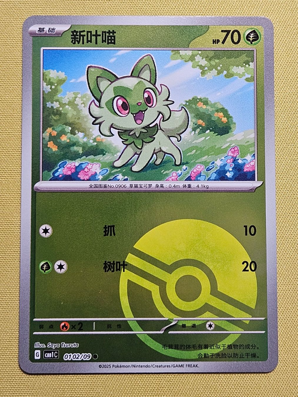 Pokémon Carte collezionabili: CBB1C Gem Pack Vol. 1 - Sprigatito 0102/09 – Usato da Bellinzona venduto da Pokemarco
