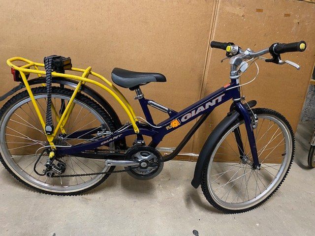 Giant Biciclette: Kinder/Jugendfahrrad Giant Flexx – Usato da Rheineck venduto da kat_2xjm