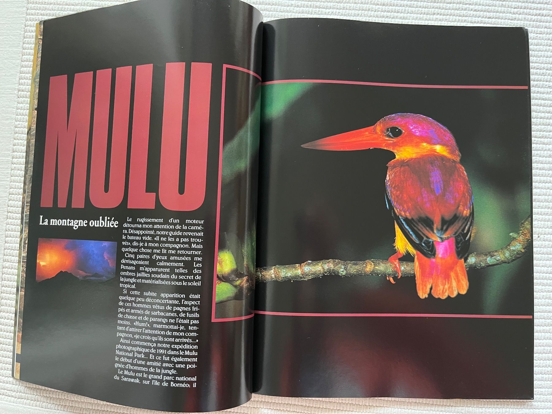 Riviste & Magazine: Animan Nr.36; Sibérie, Hérisson, Vivaldi – Usato da Zürich venduto da Gurkis 2