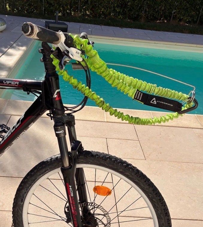 Leine & Halsband: Chien - sangle pour vélo – Gebraucht aus Bouveret von Flurry1987