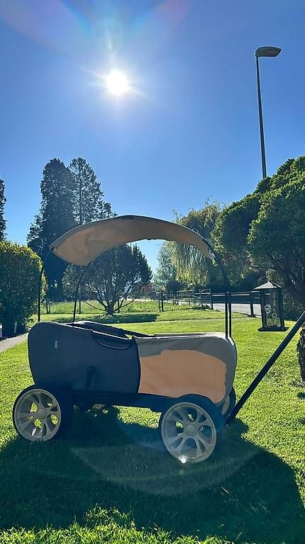 Hauck Carrozzine: Hauck Bollerwagen – Usato da Meggen venduto da Mr.Andry 1