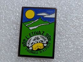 Ansteckpin 257: