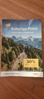 Schynige Platte Flyer mit 30% Rabatt 