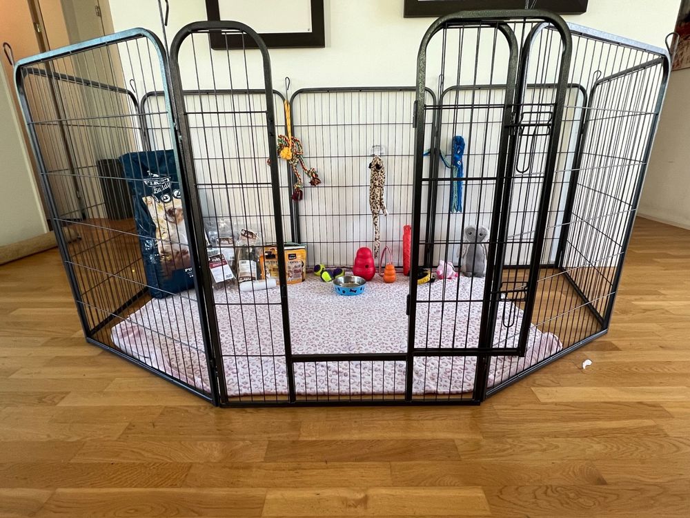 FXW Bodenschutz Für Hunde-Laufgitter – 20 Stück, Für Innenbereich, Schützt Böden & Reduziert Lärm