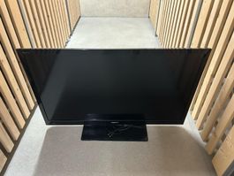 Sony TV ab 10.-