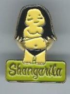 Placchette & Badge: Shangarila PIN – Usato da Zürich venduto da t24_de