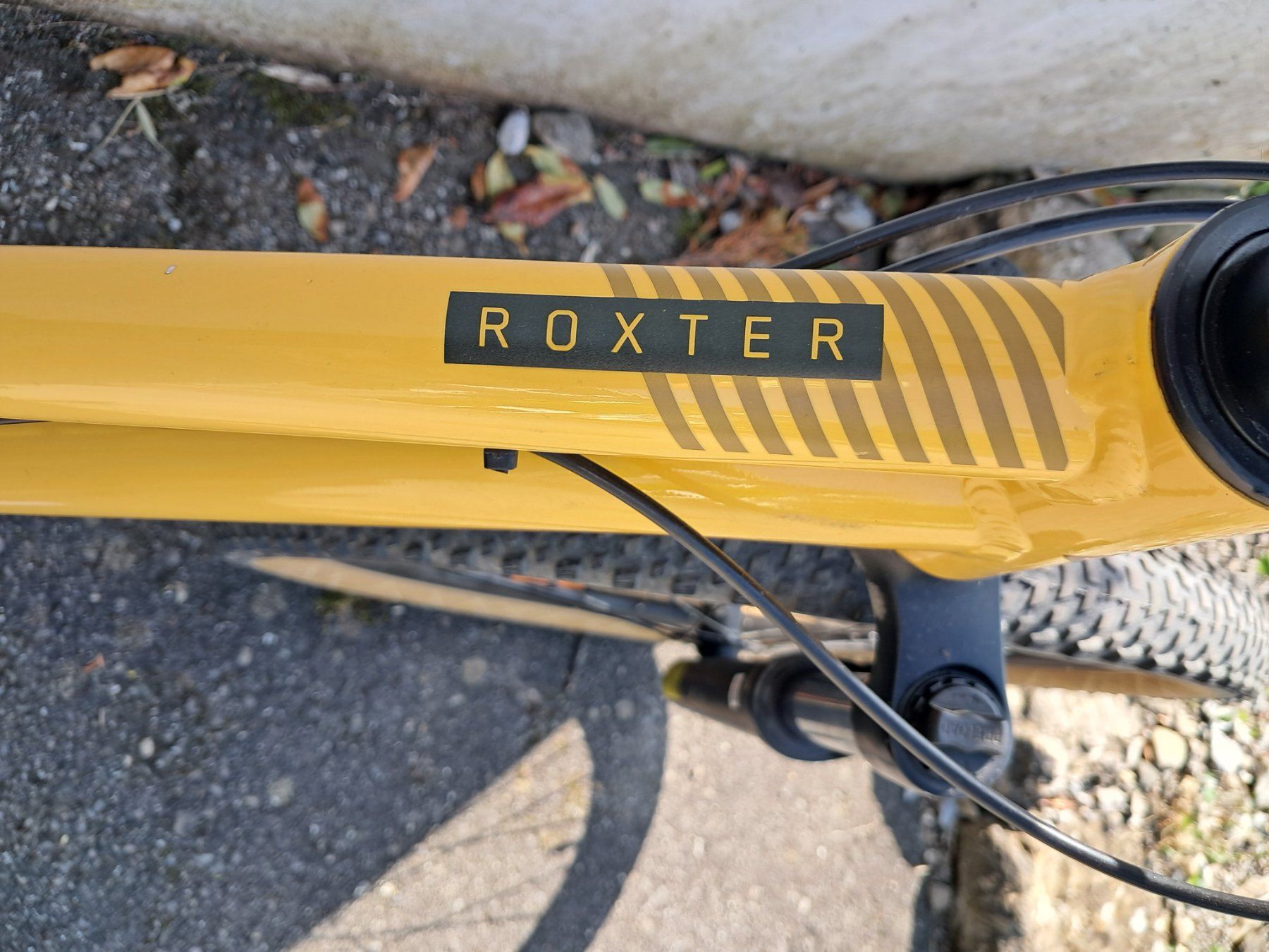 Scott Biciclette: Scott Roxter 26" – Usato da Beckenried venduto da man_575c 2