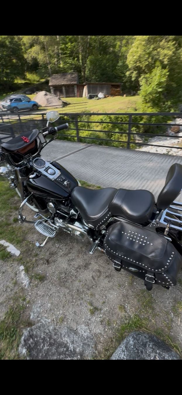 Harley-Davidson Chopper: Harley Davidson – Usato da Quartino venduto da vincent75hd 2
